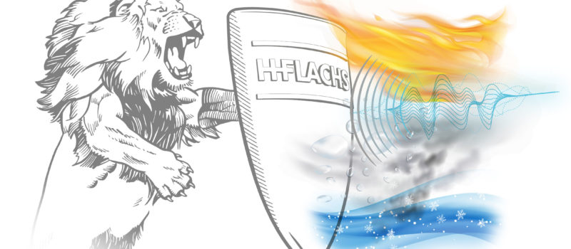 h-flachs-brave-light h-flachs-brave-light